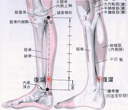 富溜穴|醫砭 » 經穴庫 » 復溜